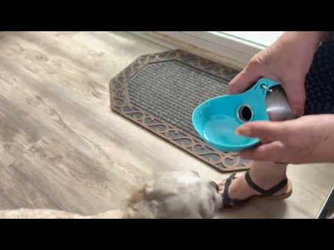 dog water bottle portable,2in1 round dog water bowl pet 10oz